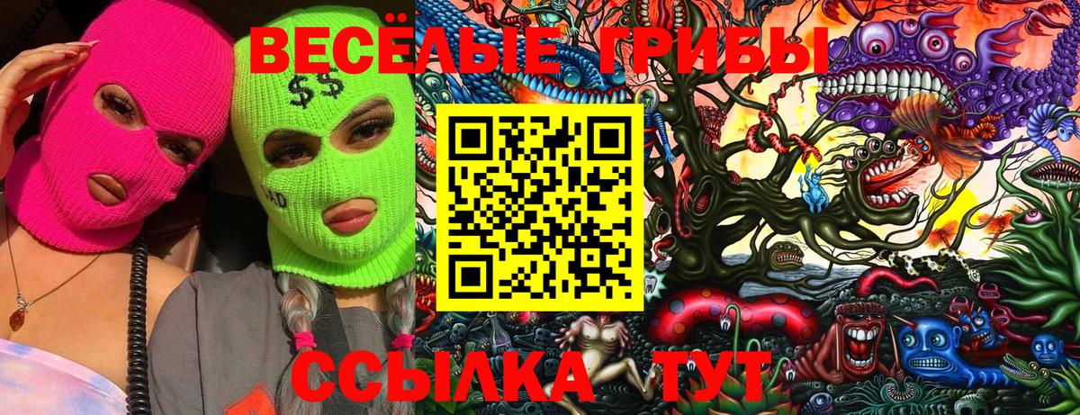 Галлюциногенные грибы мухоморы Октябрьский