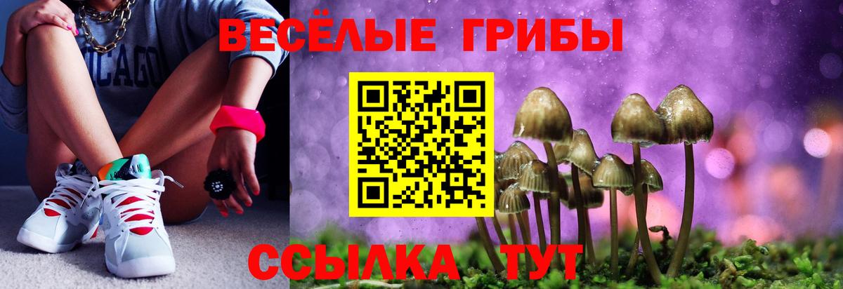 сколько стоит  Вход с VPN  Октябрьский  Псилоцибиновые грибы GOLDEN TEACHER  Галлюциногенные грибы прущие грибы 